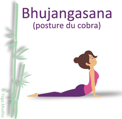 Bhujangasana : posture de yoga au Beausset