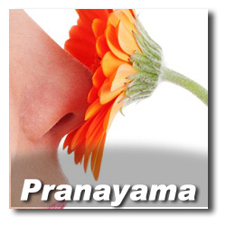 Ateliers Pranayama